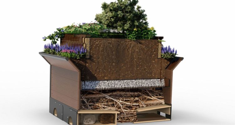 Promote Biodiversity Net Gain With BioCube | Products | BioScapes