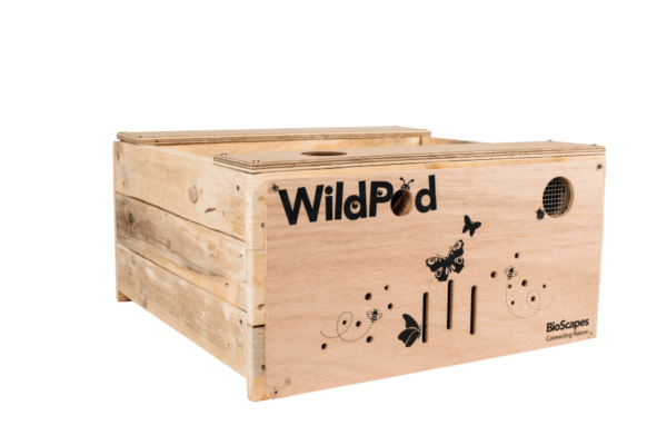 WildPod frame with rot hole, butterfly roost, bee nesting sites and invertebrate hotel