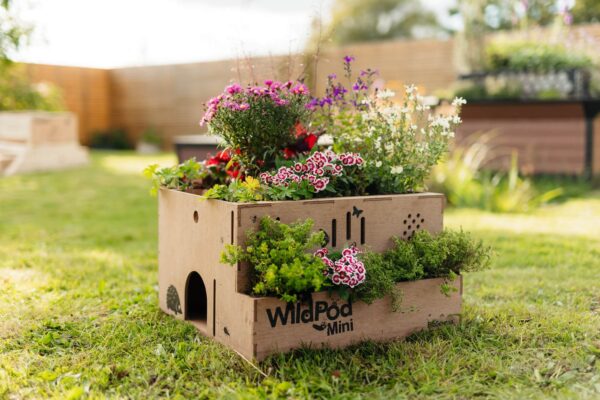 WildPod Mini planted up