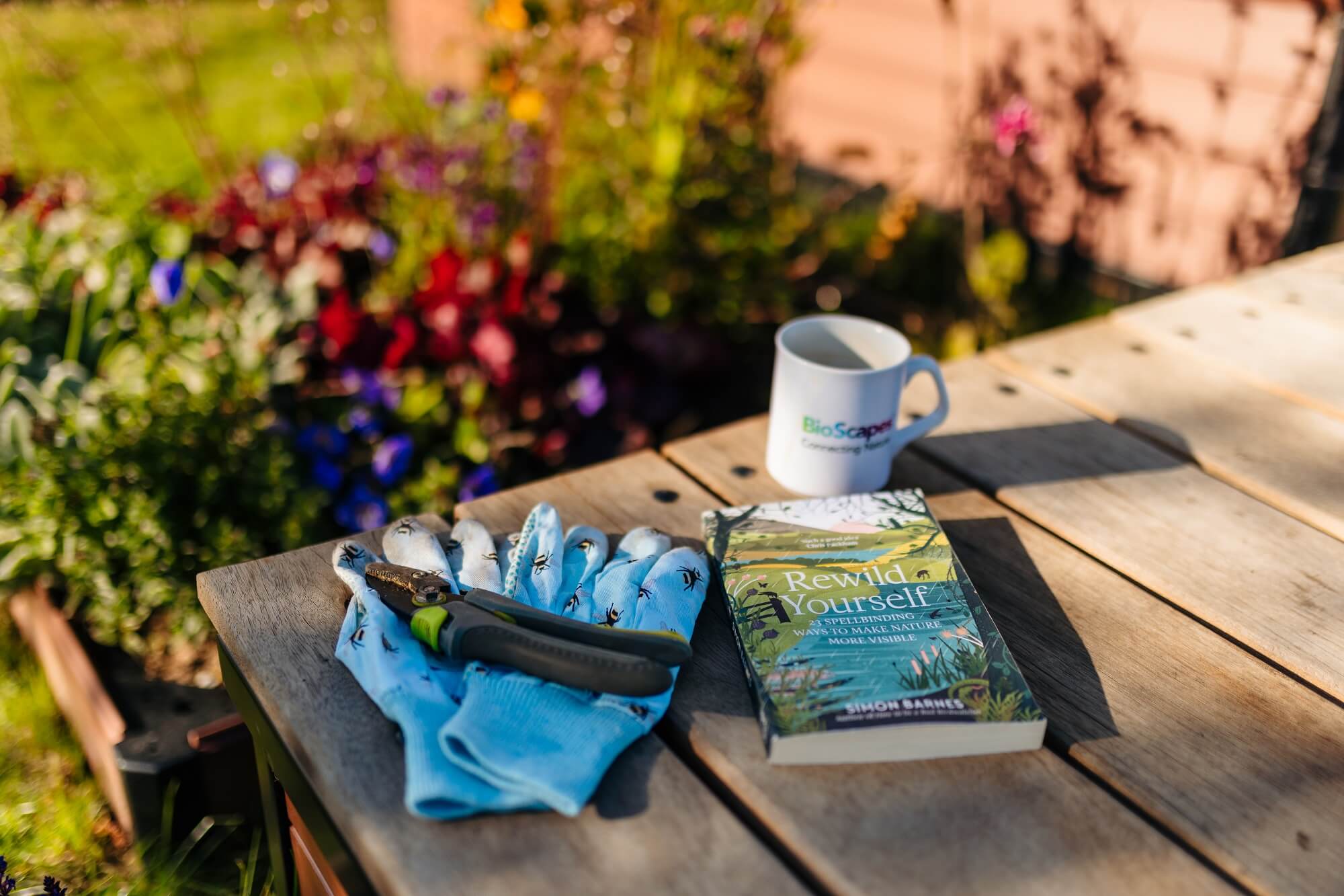 blog - wellbeing unit