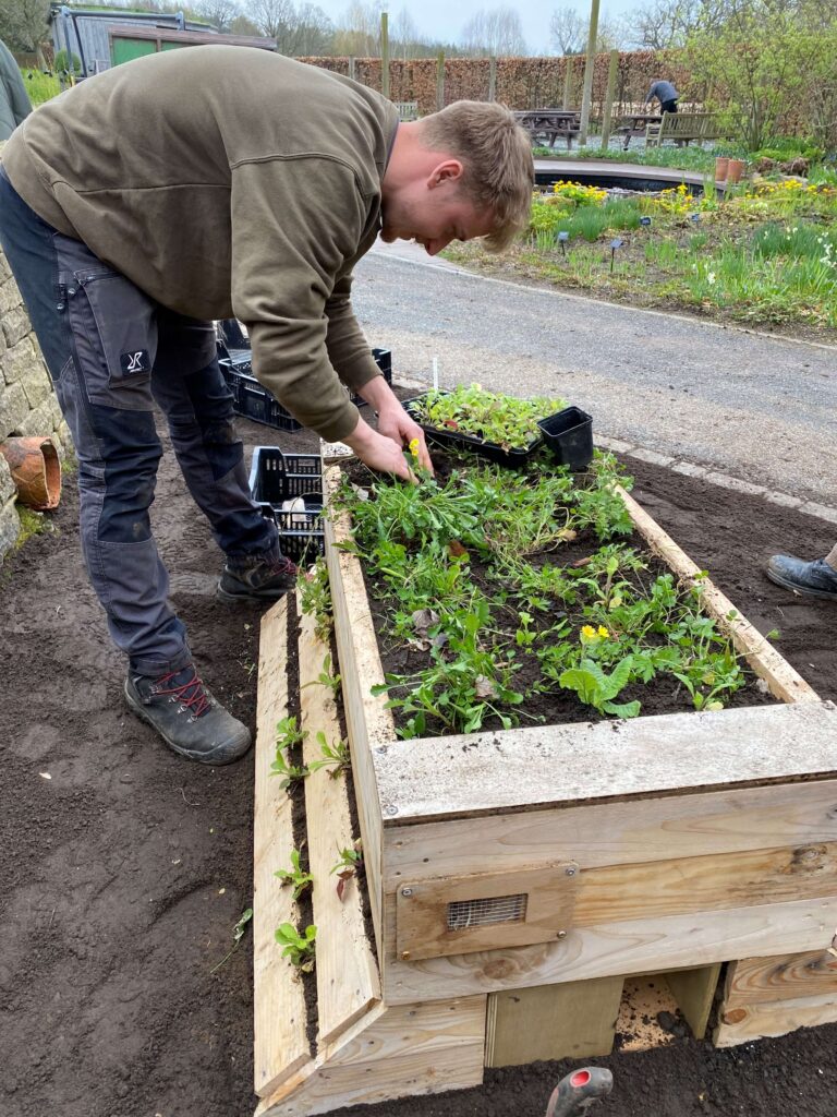 News - Planting up NatureArk at RHS Garden Harlow Carr