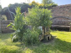 NatureArk on site at customer's house