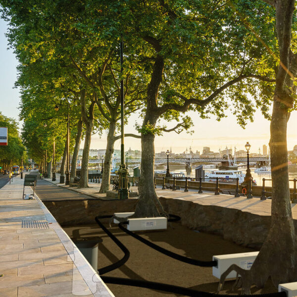 Tree-pit-existing-render-2